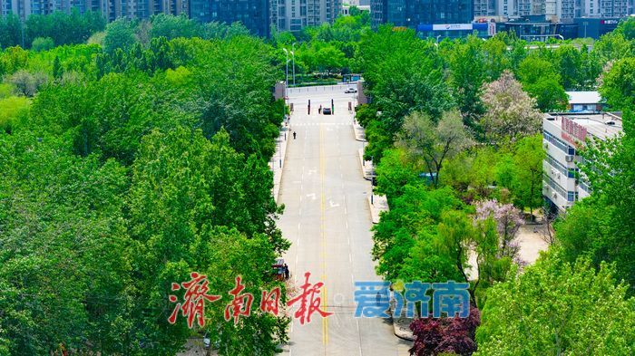 项目强省会｜告别老厂区 迈向新智造 济南小鸭开启产业升级与城市更新新篇章