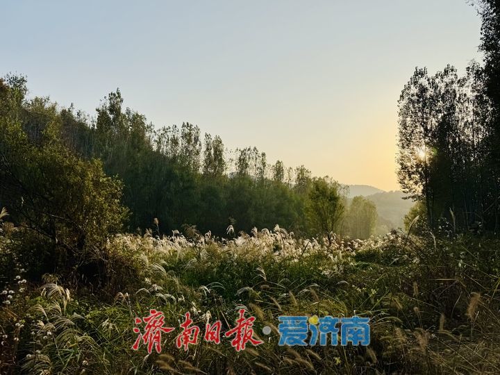 一年四季 泉在济南丨通天河畔秋意浓 山水如画醉人心