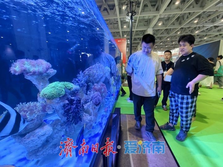 第十三届山东国际水族用品展览会火热启幕