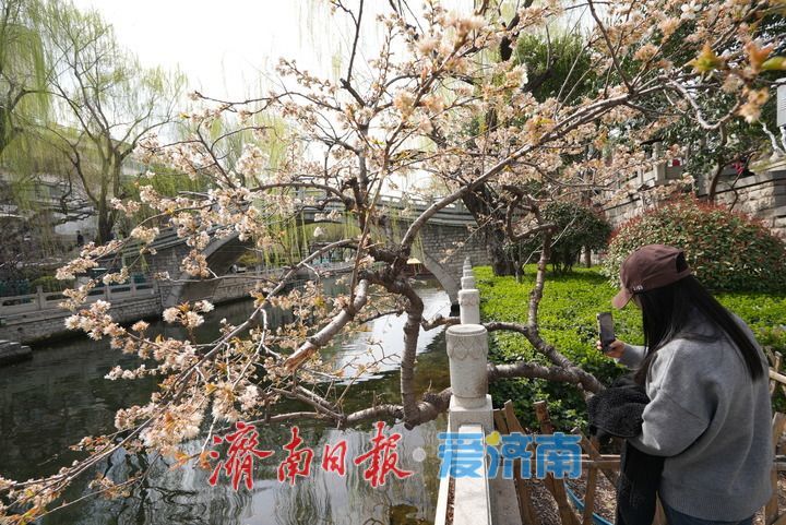 护城河畔泉韵悠扬醉游人