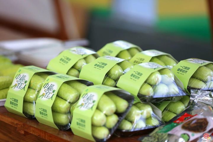 甜蜜风暴席卷高官寨！谁是最强“甜瓜王”？——2026年高官寨甜瓜季种植能手评选鸣锣开赛