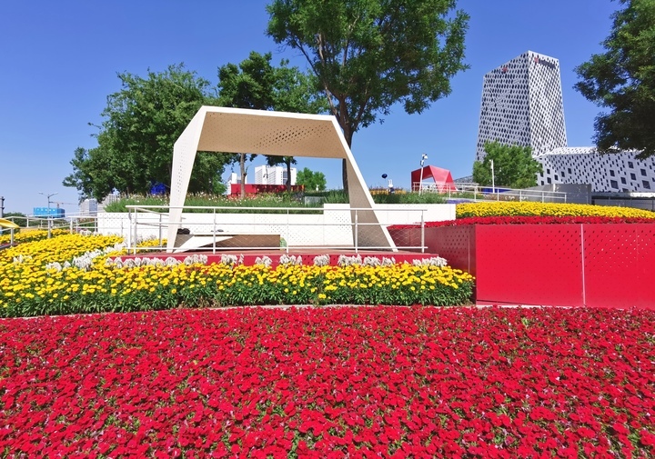 济南“七彩花田”初夏绽新颜