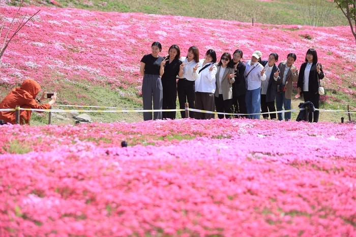 “会开花的草坪”吸引游客打卡