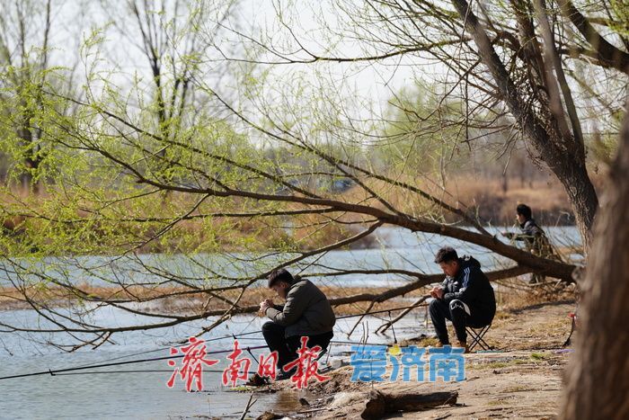 春满泉城绿意浓 玉符河畔踏青忙