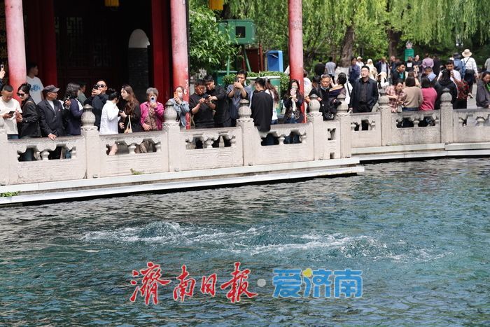 一年四季 泉在济南丨谷雨补泉涌 趵突泉地下水位三天上涨5厘米