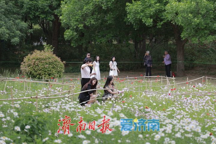 一年四季 泉在济南｜游园赏花过“五一” 缤纷花海引客来