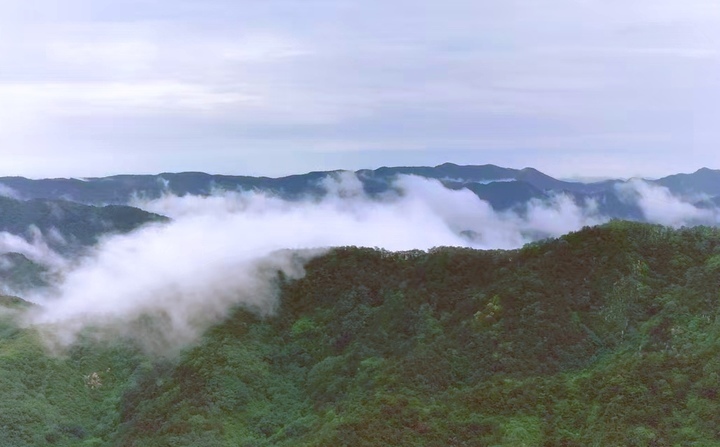 雨后云雾升腾！跑马岭现云海仙境 分外迷人