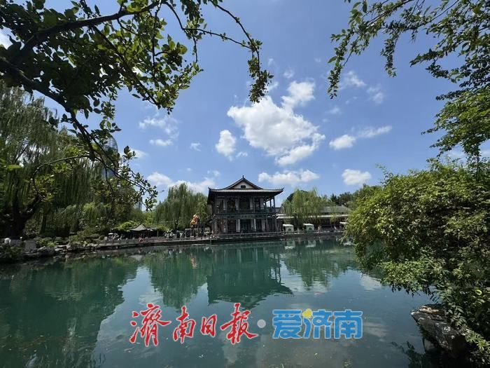 碧空如洗映龙潭 泉水绿树绘就泉城夏日画卷