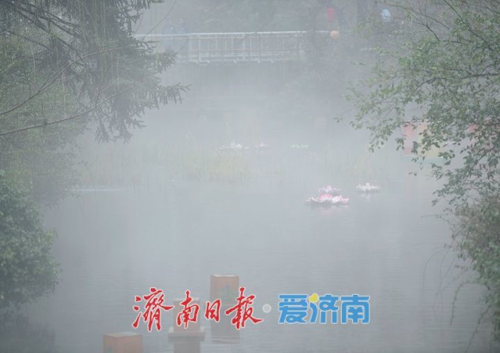 一年四季 泉在济南｜雪润趵突绘仙境，水位创近十年历史同期最高