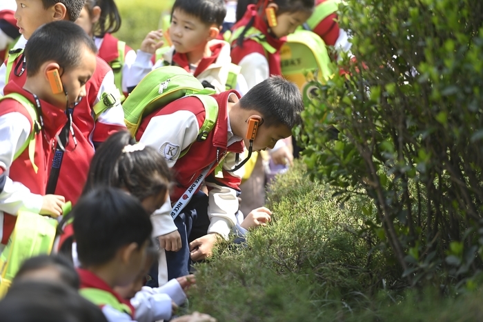 与恐龙的“老朋友”面对面，看萌娃们春天里畅游泉城