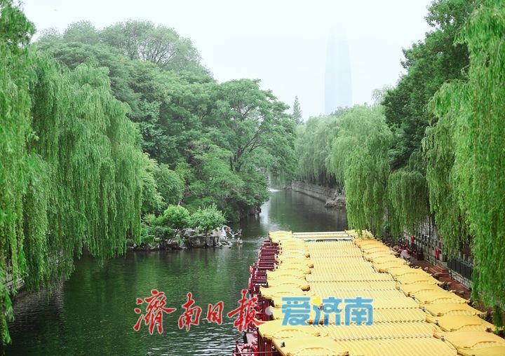 雨助泉涌，济南黑虎泉水位一夜攀升7厘米