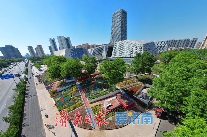 济南西部“七彩花田” 绽放如梦幻调色盘