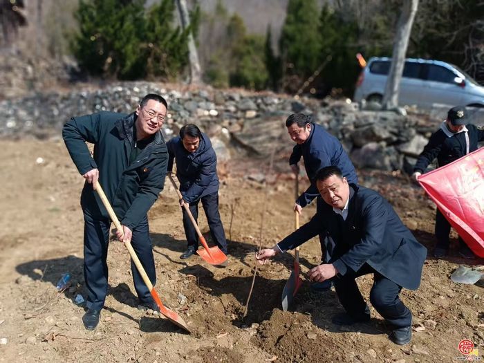 春风添新绿 植树正当时——济南公交恒通公司积极开展植树节志愿服务活动