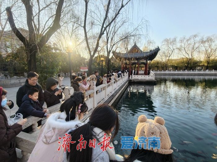 济南珍珠泉碧水锦鲤醉游人