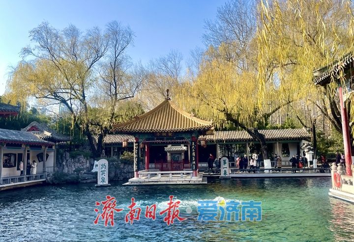 趵突泉水位同比上涨1.29米 冬日泉水欢腾引客来