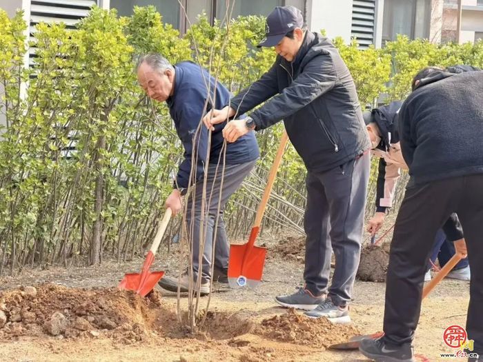 省自然资源厅、省人社厅、济南市自然资源和规划局联合开展党员“双报到”义务植树活动