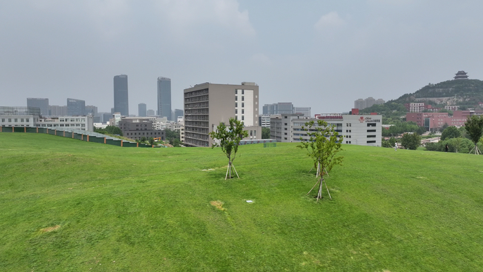 在济南，也有属于我们自己的“阿勒泰”！