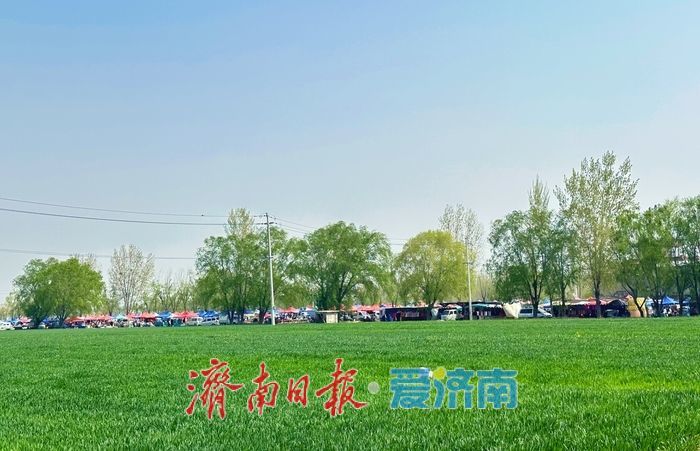 坐地铁“赶”滩头大集！香椿芽抢“鲜”上市 济南市民争相“打包春天”