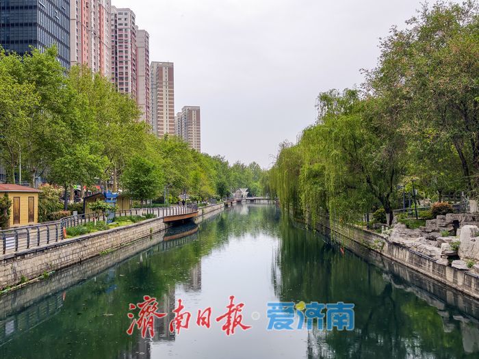 暮春细雨润泉城，工商河畔柳含烟