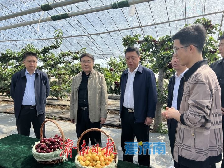 加强党建引领乡村全面振兴 办好群众所需所盼的实事难事 杨峰到章丘区调研
