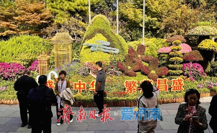 一年四季 泉在济南丨趵突泉菊展抢先看，打卡“不做菊外人”