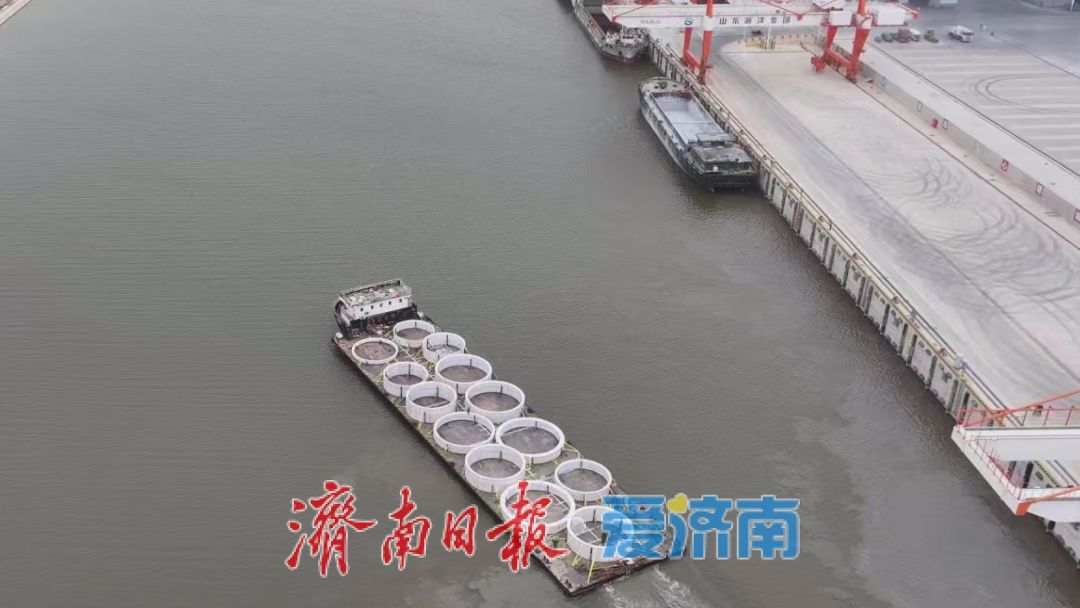 点进来！一起了解小清河航运奖补政策