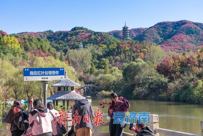 红叶谷秋色如画，文旅热度持续攀升