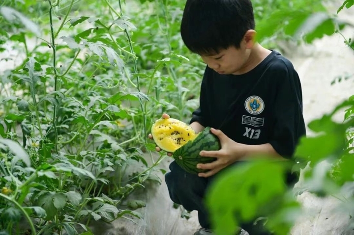 泉在济南过五一丨50余项活动，济南春日踏青出游指南发布！