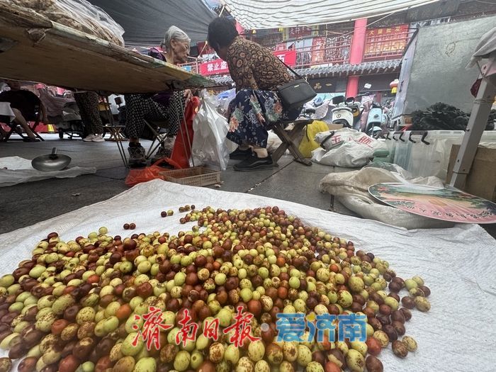 野生酸枣上市“身价高”，新鲜果一斤售价8元