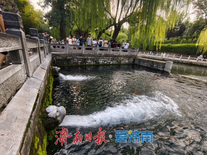 一年四季 泉在济南丨泉涌势头强劲！趵突泉、黑虎泉水位同比显著抬升