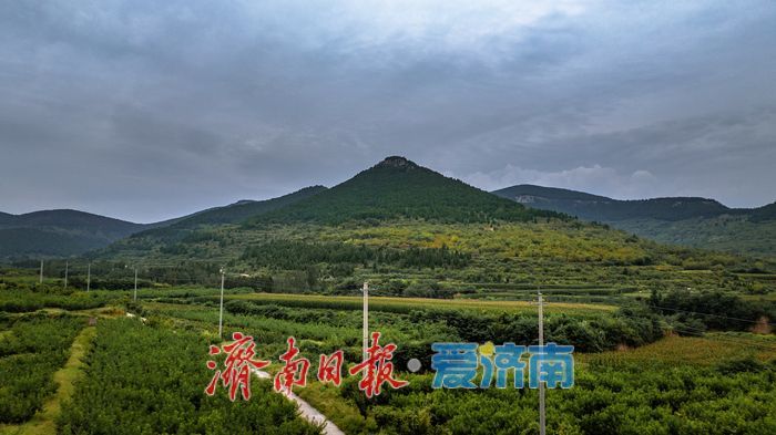 一年四季 泉在济南丨层叠绿意入画来！济南梯子山绿色梯田显生态魅力