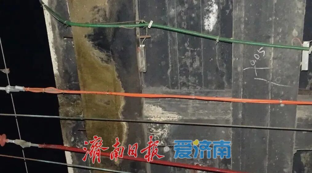 治病害 补短板 强筋骨，揭秘纬二路天桥“靶向诊疗”全过程