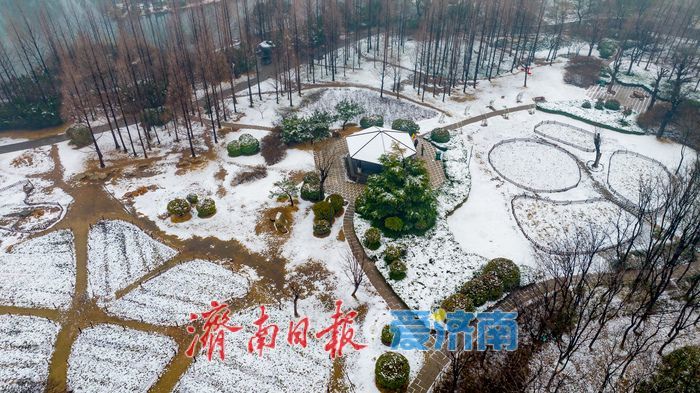 节后春雪添雅韵 济南森林公园解锁冬春交融新景致