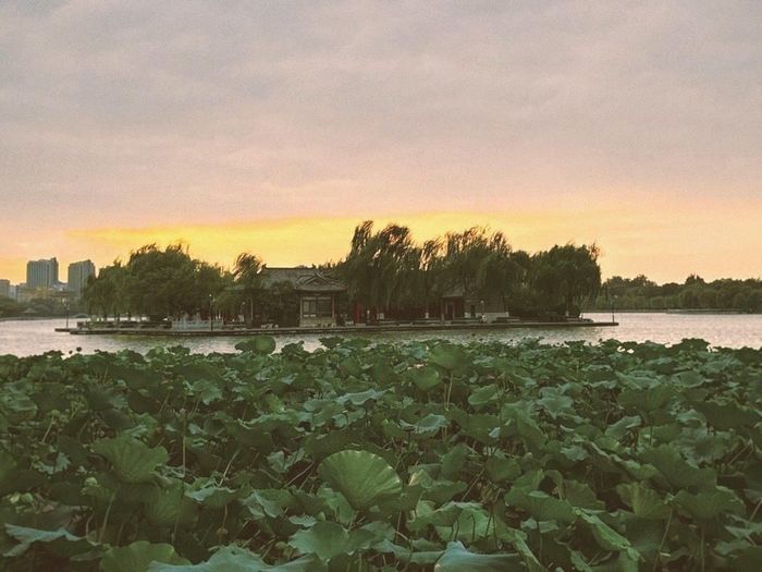 降幅超10℃！未来两天济南气温居高位，周五冷空气携风带雨“入深秋”
