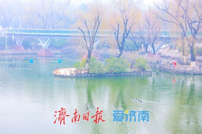 雪落泉城春意闹 新年盛景入画来