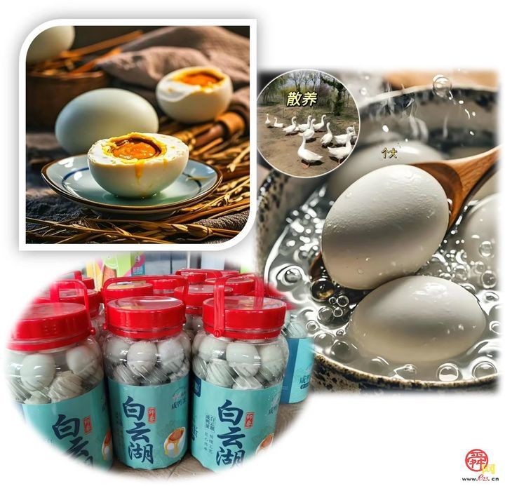 章丘区：碧波荷香蕴好礼   生态文旅邀君游