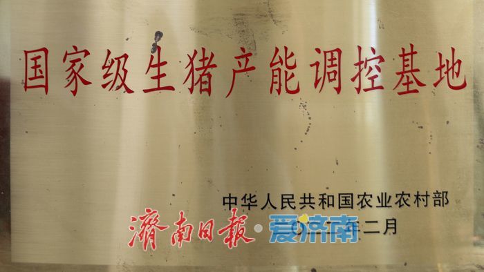 我们村的新农人 