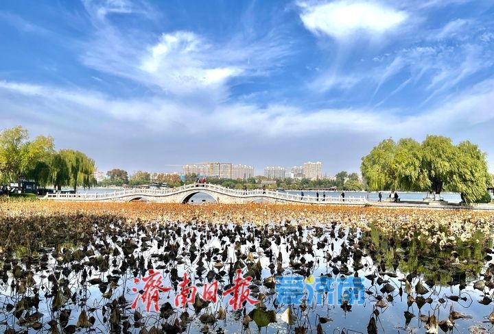 一年四季 泉在济南丨冬日暖阳上线 碧水蓝天绘就诗意画卷