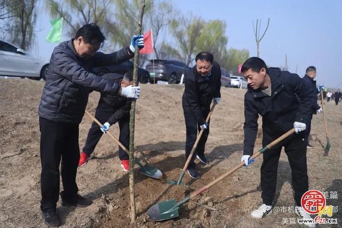 植绿护绿·共筑美好家园  济南市机械化清扫大队组织开展义务植树活动