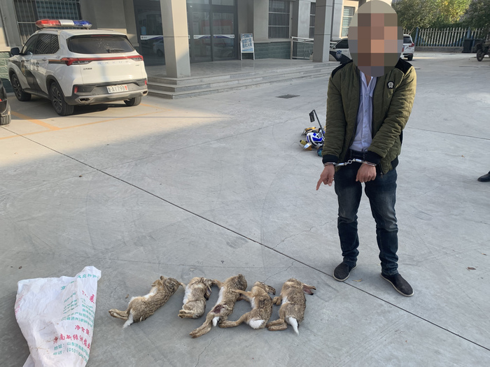 记录物种超两千种，发现濒危植物8种！济南千佛山—龙洞生物多样性调查成果丰硕