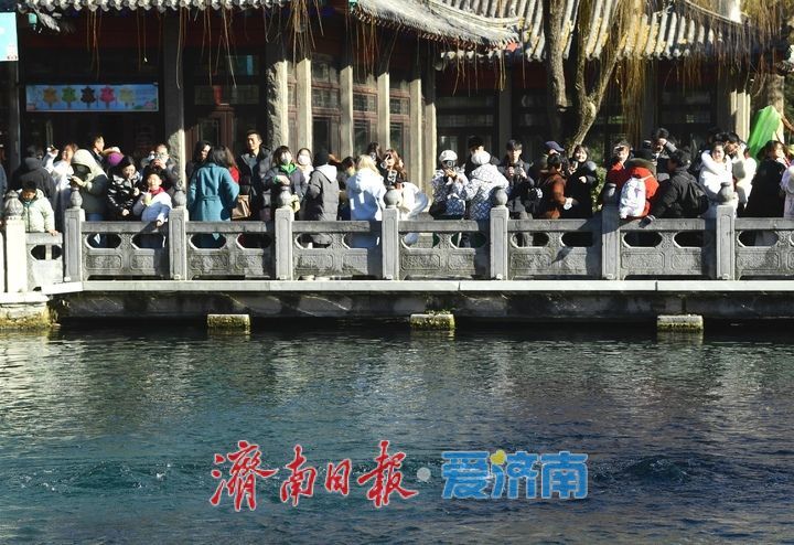 “三股水”生生不息，趵突泉今冬喷涌不竭