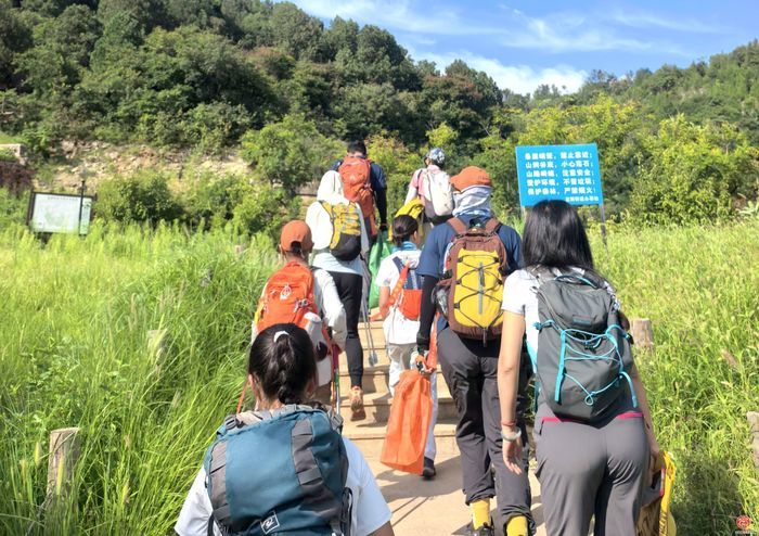 走“净”黑峪林场  履“植”不止种树   2026济南暑期“互联网+全民义务植树”尽责活动举行
