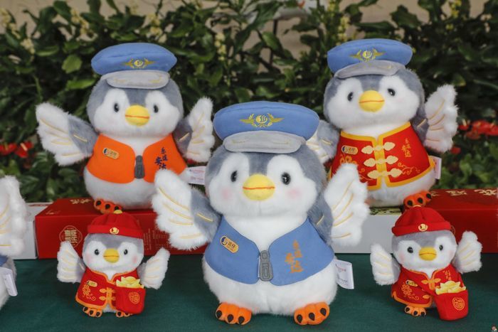 安全飞行618.91万小时  山航实现安全飞行31周年