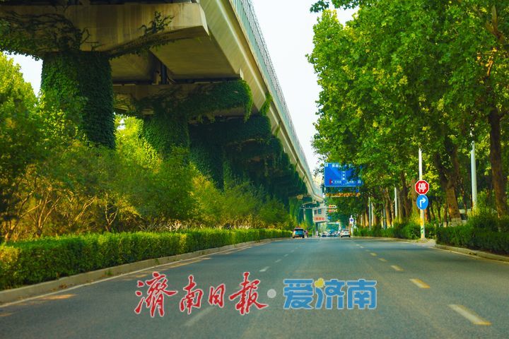 翠蔓缠桥墩 济南地铁1号线织就城市空中绿廊
