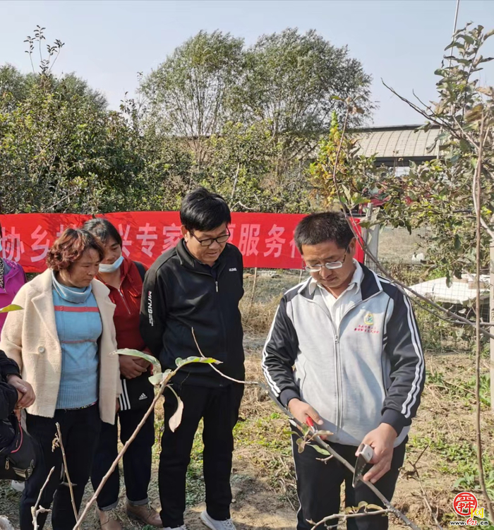 最美新农人｜刘学亮：扎根乡土四十载 苹果树下写春秋