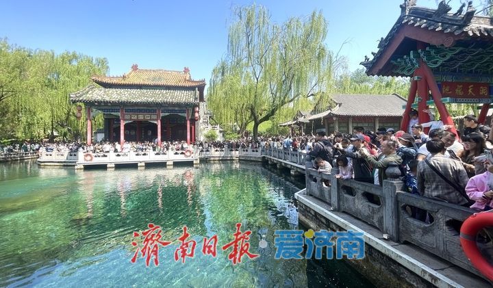 雨润泉涌引客来！趵突泉畔游人如织