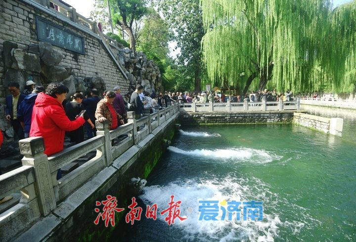 一年四季 泉在济南丨创20年来新高！济南黑虎泉水位持续飙升，声如虎啸