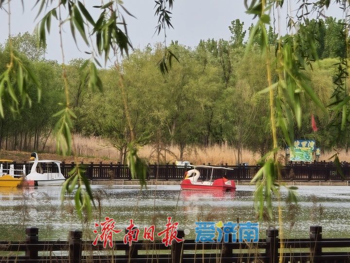济西湿地春和景明 市民乐享自然野趣