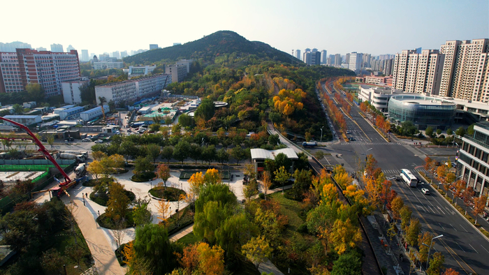 入眼如画！解锁茂岭山公园初冬美景