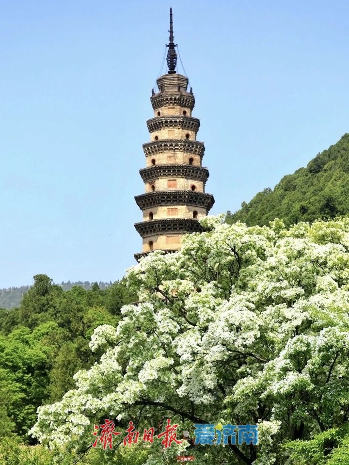 业态丰富热度不减 供需两旺亮点纷呈！假期第四天30家重点旅游景区共接待游客84.75万人次